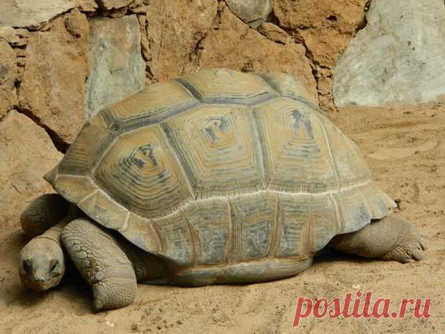 Люди работают, чтобы получать деньги. Деньги – средство достижения свободы. Если с удовольствием заработанные деньги позволяют наполнить жизнь впечатлениями и удовлетворить страсть к познанию, жизнь удалась. Если ты работаешь так, что света белого не видишь, зачем ты работаешь?