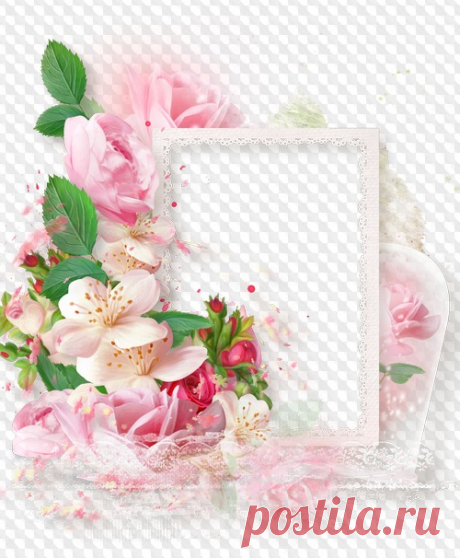 Flower tenderness PNG Frame. Transparent PNG Frame, PSD Layered Photo frame template, Download.