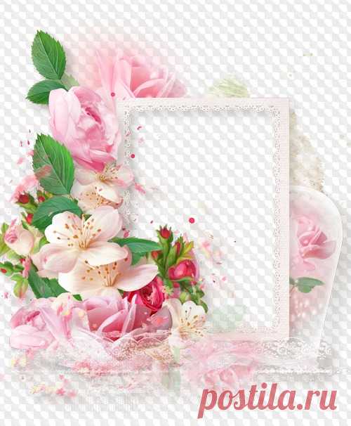 Flower tenderness PNG Frame. Transparent PNG Frame, PSD Layered Photo frame template, Download.