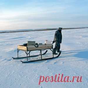 На распутье - МирТесен