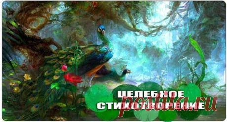 Google+