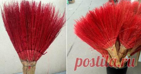 Приметы, которые говорят о скором улучшении благосостояния в доме «Близко пролетела птица — к деньгам, зачесалась левая ладонь — снова к хорошей прибыли!» — говорит одна моя хорошая знакомая, которая владеет сетью ресторанов в столице. Что ж, верить в приметы на деньги или нет — каждый выбирает сам: кто-то верит и каждый раз радуется, замечая знаки Вселенной, а кто-то с ухмылкой проходит мимо этого.