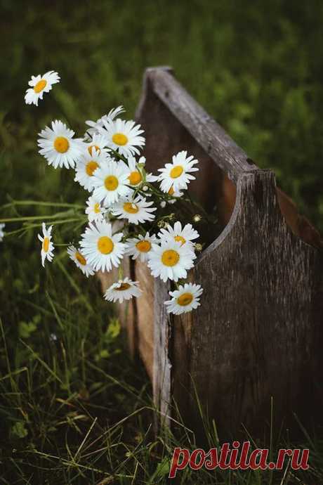Валентина Я - Google+