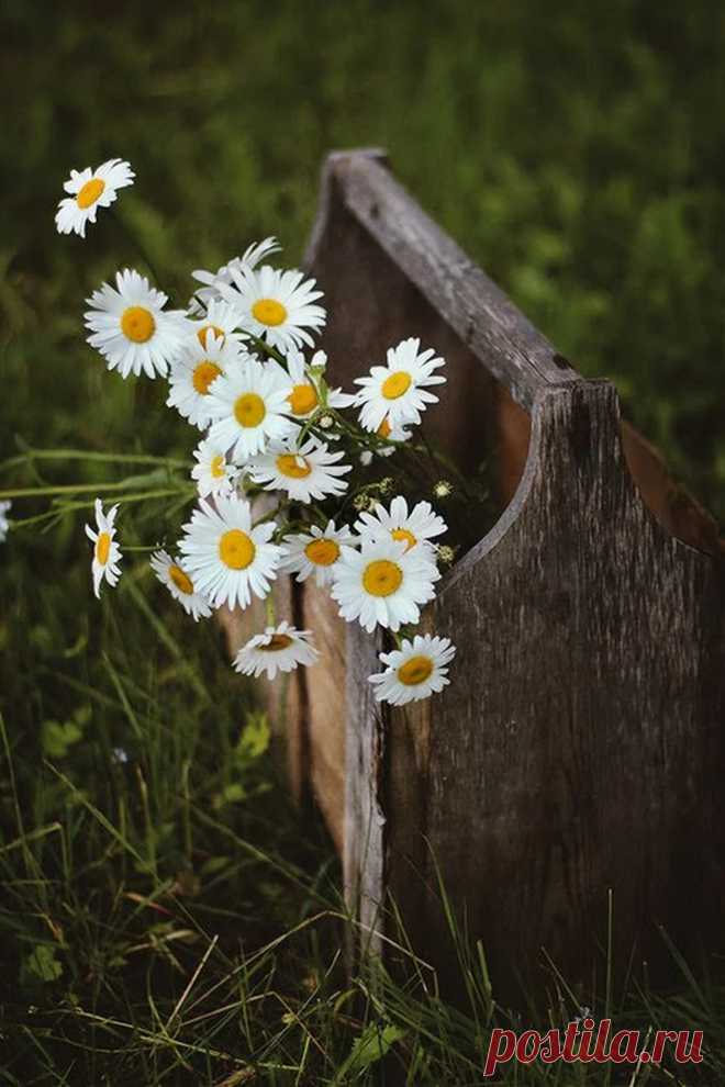 Валентина Я - Google+