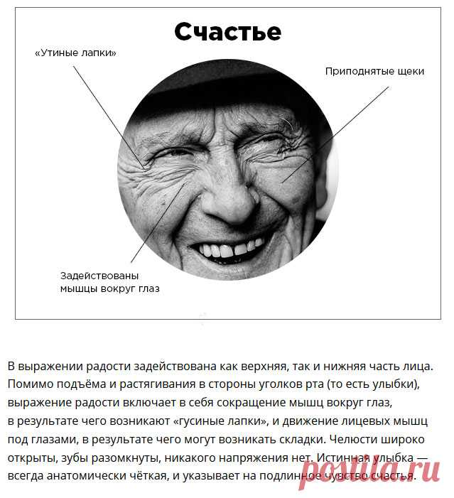 Как понять эмоциональное состояние собеседника по выражению лица (7 фото) | Чёрт побери