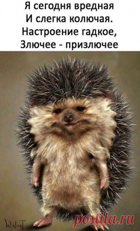 Быть желанной|Хитрости красоты