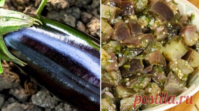 Баклажаны как шашлык на зиму, заслужившие доверие хозяек