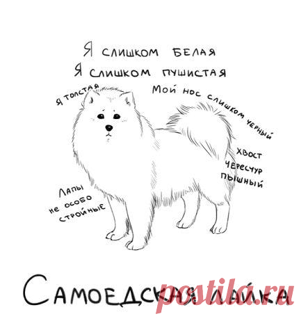 Как заткнуть внутреннего критика?
Внутренний критик живет в голове каждого, только некоторые на него могут шикнуть, а некоторые нет. Конечно, есть те, кто под воздействием внутреннего критика вообще утратил свою “хотелку”. Но если хотелка еще на месте, появляется внутренняя система обхода критика: грезы. Фантазируя о том, как могла бы сложиться судьба, и проживая невероятные сюжеты в своей голове, человеку […]
Читай пост далее на сайте. Жми ⏫ссылку выше