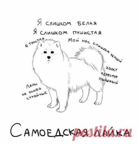 Как заткнуть внутреннего критика?
Внутренний критик живет в голове каждого, только некоторые на него могут шикнуть, а некоторые нет. Конечно, есть те, кто под воздействием внутреннего критика вообще утратил свою “хотелку”. Но если хотелка еще на месте, появляется внутренняя система обхода критика: грезы. Фантазируя о том, как могла бы сложиться судьба, и проживая невероятные сюжеты в своей голове, человеку […]
Читай пост далее на сайте. Жми ⏫ссылку выше