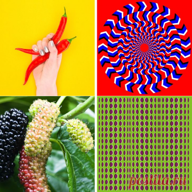 8 распространенных продуктов, которые могут вызвать галлюцинации | Всегда в форме!