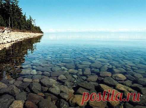 (13) Одноклассники