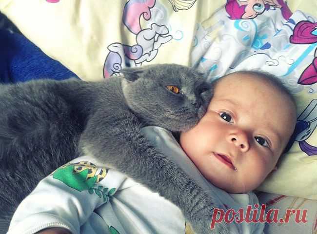 Дети и их 4-лапые друзья – Фитнес для мозга