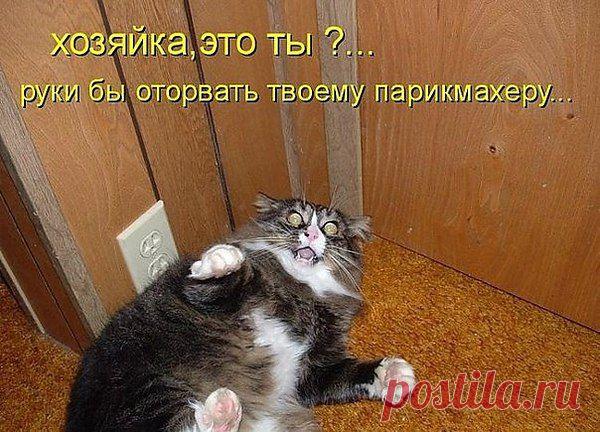 Не узнал, блин