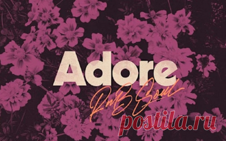 Origin Sound Adore RnB Soul WAV | 941.31 MB
Whether you're a producer, songwriter, or beatmaker, this collection delivers melodic patterns, rich harmonies, and catchy hooks that seamlessly integrate into any composition. Designed to inspire creativity while honoring the essence of Roots and Soul music, this sample pack strikes the perfect balance between innovation and nostalgia.
DOWNLOAD AT:
https://audioclub.store/samples/adore-rnb-soul-wav/