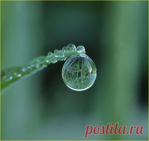 (99+) Одноклассники