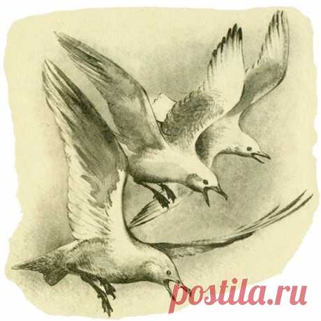 КОРАБЛЕКРУШЕНИЕ