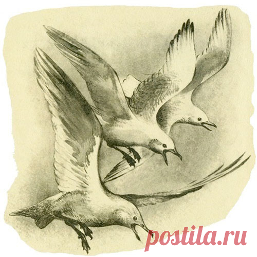 КОРАБЛЕКРУШЕНИЕ