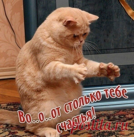 Много, много счастья!