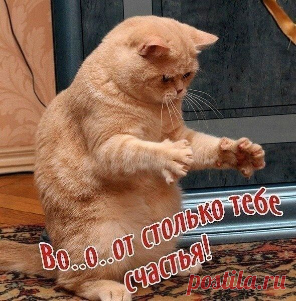 Много, много счастья!