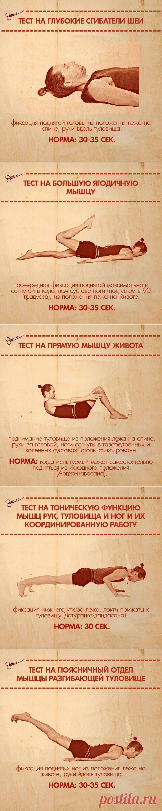 ТЕСТЫ НА ФУНКЦИОНАЛЬНУЮ СЛАБОСТЬ МЫШЦ | Я ЗДОРОВ!