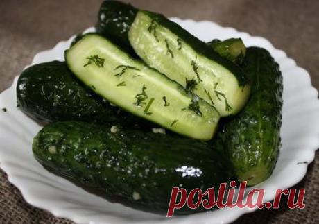 Малосольные огурцы - Пошаговый рецепт с  | Закуски | Вкусный блог - рецепты под настроение