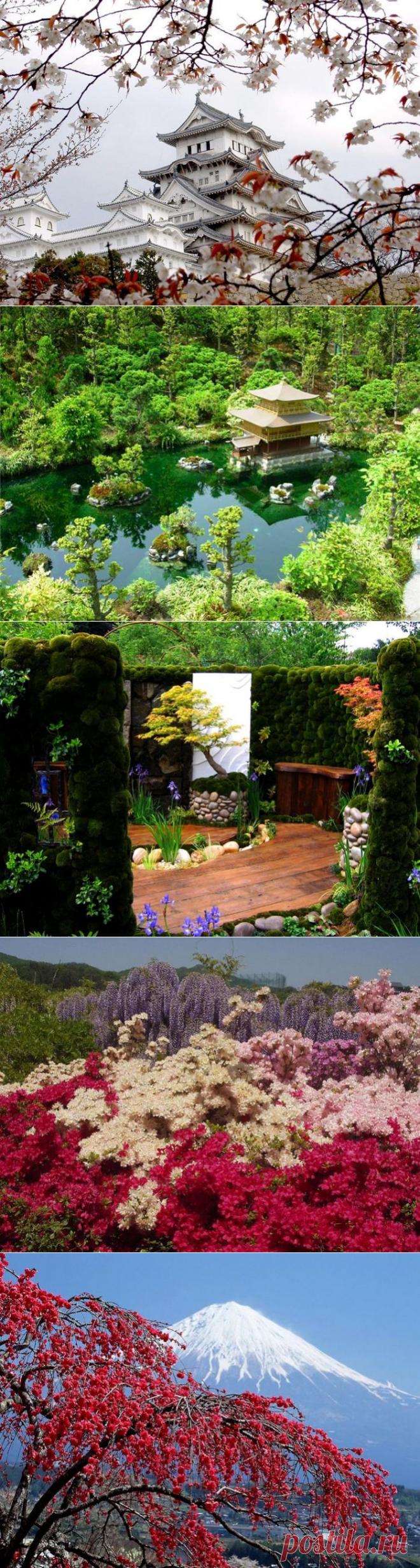 День зеленых насаждений до 2007 года отмечался в Японии 29 апреля. «Природное» название праздника связано с именем Императора Сёва и его глубокой любовью к живой природе.