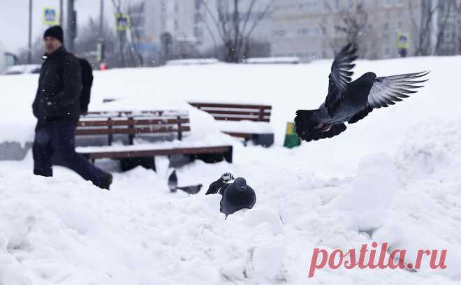 Синоптики рассказали, когда «Ваня» принесет в Москву новые сугробы. Циклон, который немецкие метеорологи назвали «Ваня» (Vanja) и центр которого сформируется над Молдавией, придет в Москву к концу рабочей недели.