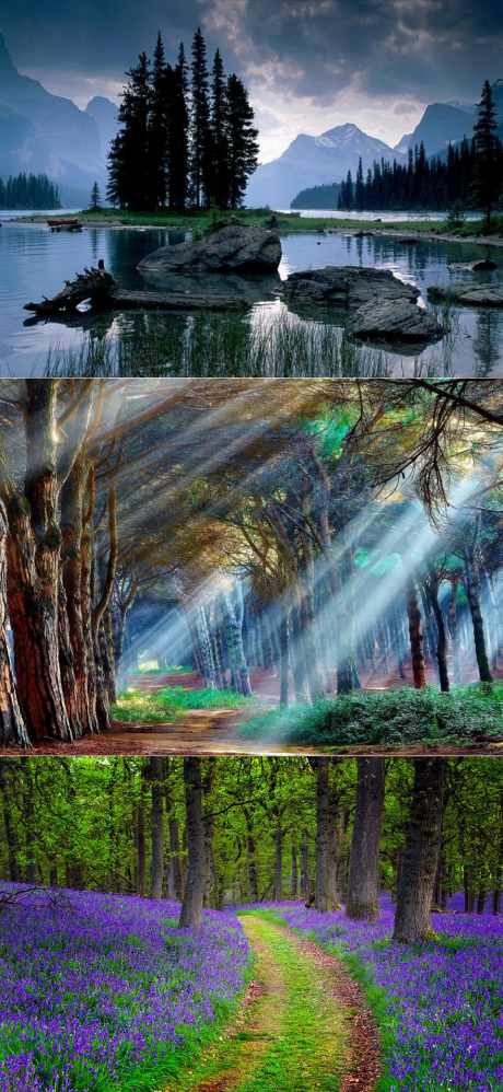 Просто шикарная природа. Галерея фото