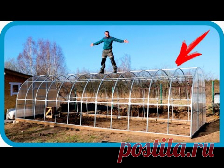 Сборка теплицы 8х3 своими руками в одиночку.
