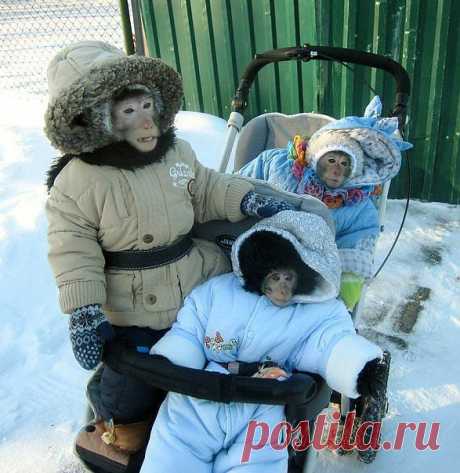 Вот, детей выгуливаю....