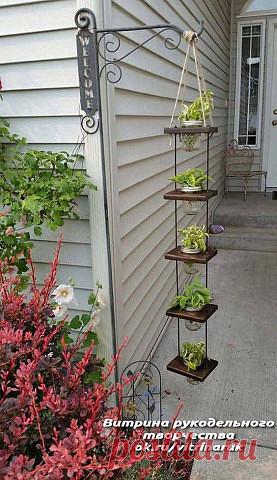 (74) Одноклассники