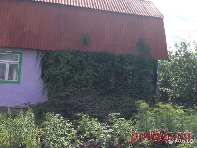 Дача 45 м² на участке 6 сот. - купить, продать, сдать или снять в Челябинской области на Avito — Бесплатные объявления на сайте Avito