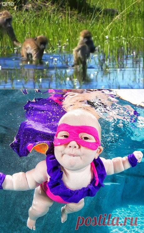 ВидеоМир - Сделайте паузу и посмотрите как прекрасен МИР!