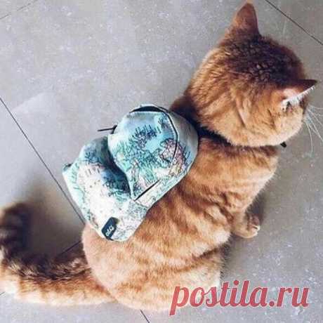 Fashion Suggestion в Instagram: «#fashion #style #stylish#outfitoftheday #instafashion #swag #model#dress #styles #outfit #purse #jewelry#shopping #glam #instastyle#style…» 96 отметок «Нравится», 5 комментариев — Fashion Suggestion (@fashion.suggestion) в Instagram: «#fashion #style #stylish#outfitoftheday #instafashion #swag #model#dress #styles #outfit #purse…»