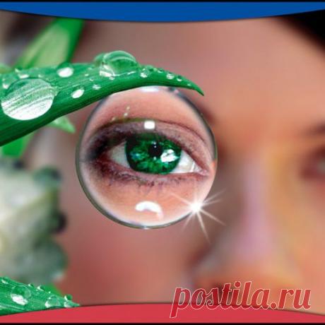 6 самых необходимых продуктов для остроты зрения