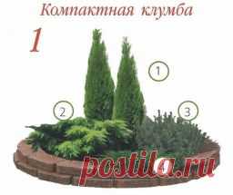 Клумбы с хвойными растениями! - Садоводка