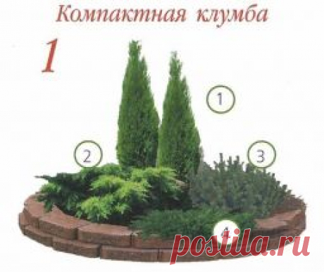 Клумбы с хвойными растениями! - Садоводка