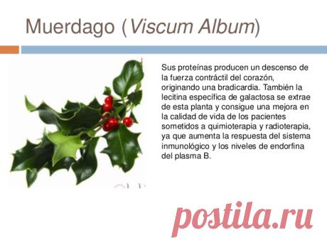 beso bajo el muerdago - Buscar con Google