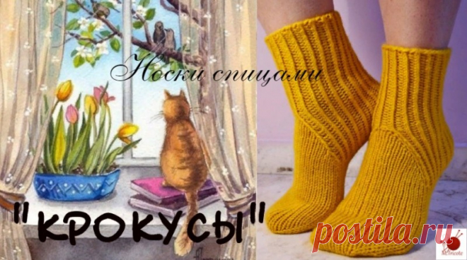 Носки 