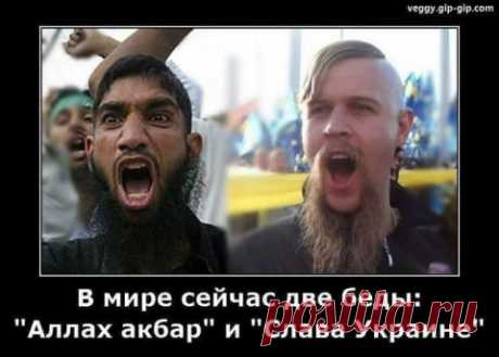 Жесткий ответ Киеву: Если США начнут поставки оружия на Украину, РФ признает Донбасс и выйдет из «Минска-2»