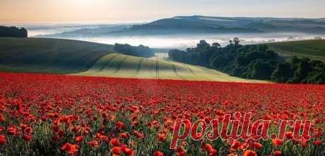 Неземная красота: лучшие снимки конкурса пейзажной фотографии Landscape Photographer of the Year 2018