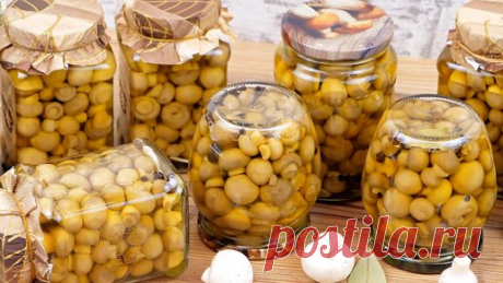 Маринованные грибы на зиму без стерилизации! Рецепт маринада для грибов! Маринованные шампиньоны! | Дина, Коллекция Рецептов | Дзен
