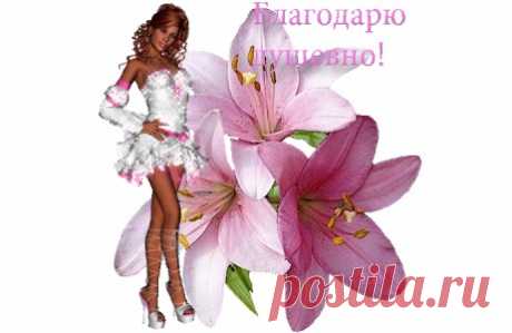 живи любовь ~ Плэйкасты ~ Beesona.Ru