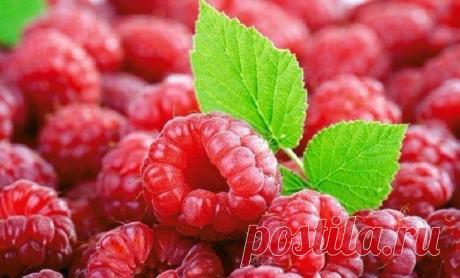 9 продуктов долголетия, доступных каждому