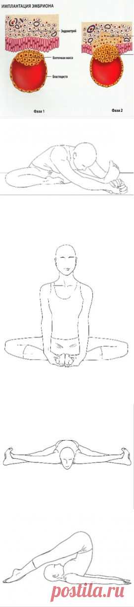 Асаны, которые улучшают женское здоровье