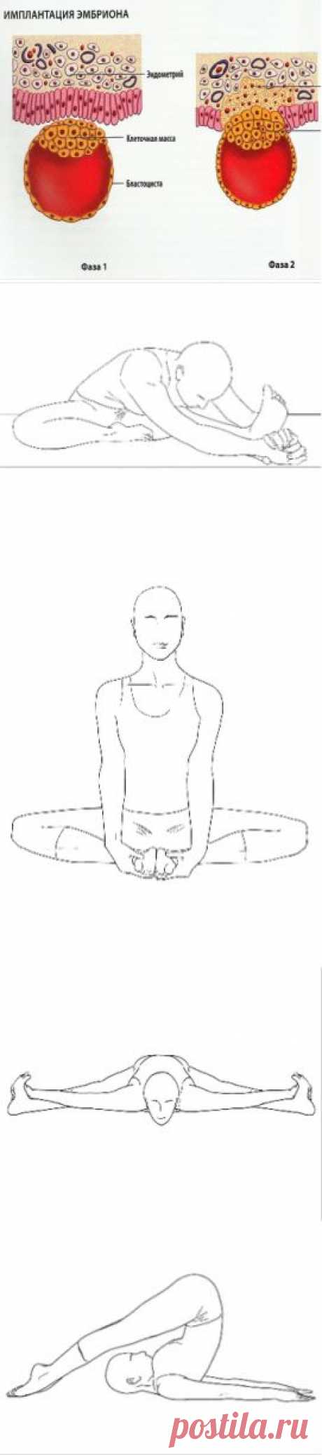 Асаны, которые улучшают женское здоровье