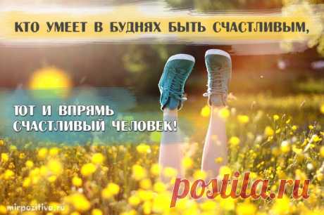 Мудрость в каждой фразе