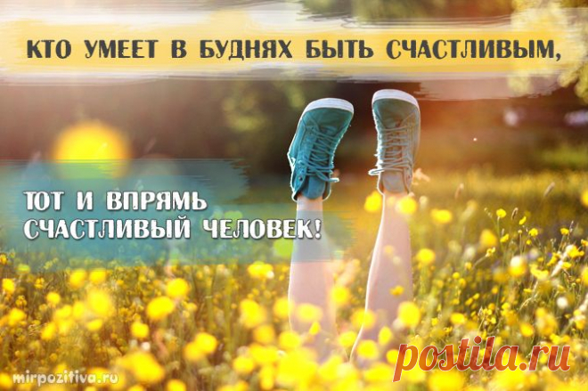 Мудрость в каждой фразе