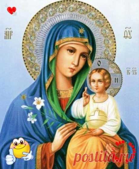 (62) Одноклассники