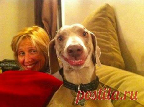 А ваша собака похожа на вас?